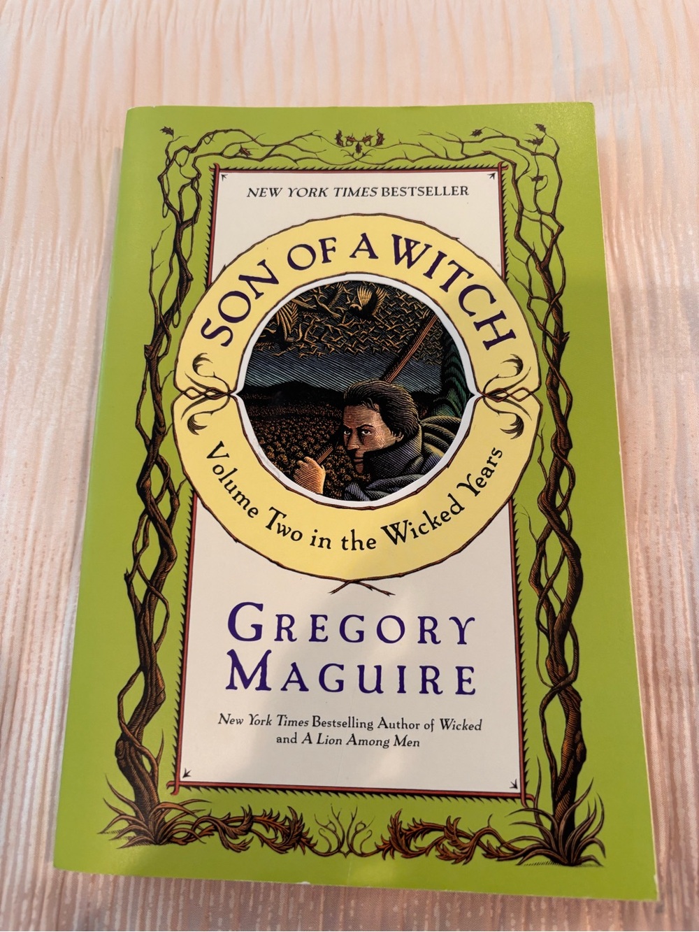 Son of a Witch Book